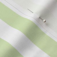 Celery Green Stripe