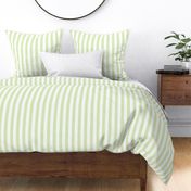 Celery Green Stripe