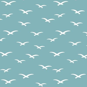 Seagulls on sky blue