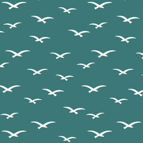 Seagulls on teal