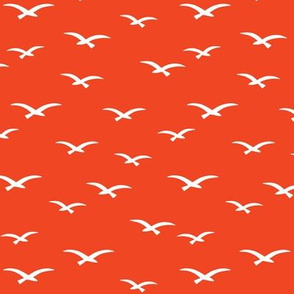 Seagulls on orange red