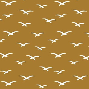 Seagulls on brown