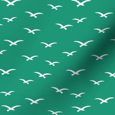 Seagulls on green