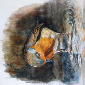 little cute robin watercolor