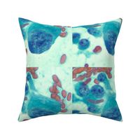 CANCER cell pillow size