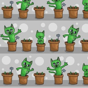 Growing cat plants -grey
