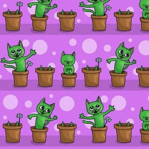 Growing cat plants -purple