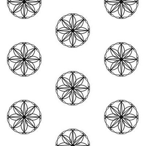 Flower-Etched Windows of Black on White - Small Scale