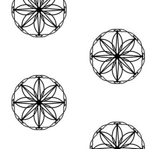 Flower-Etched Windows of Black on White - Medium Scale