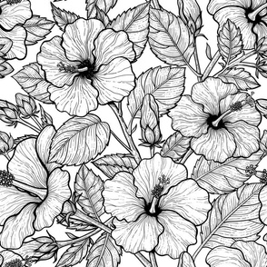 Hibiscus flowers, black and white