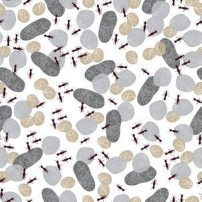 River rocks / ants / white 