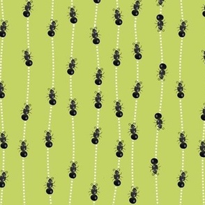 Marching Ants (kiwi)