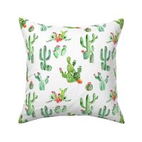Cactus and Succulents // White