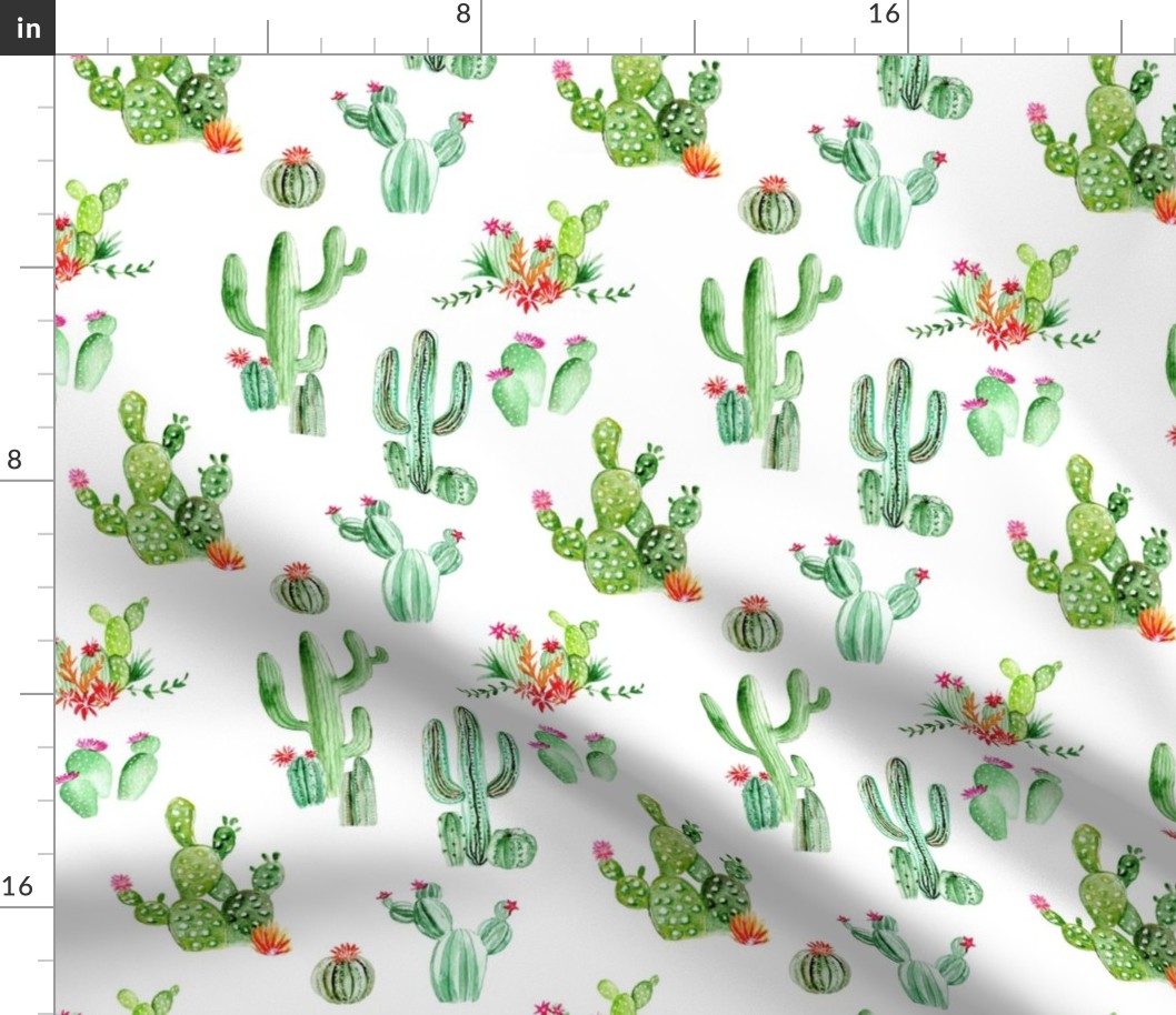 Cactus and Succulents // White