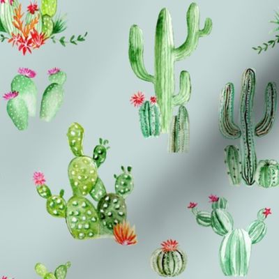 Cactus and Succulents // Nebula