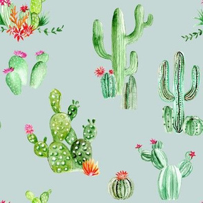 Cactus and Succulents // Nebula