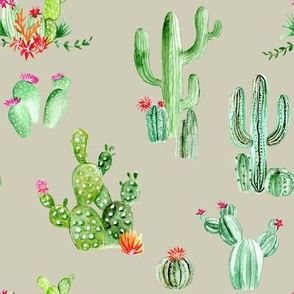 Cactus and Succulents // Fog