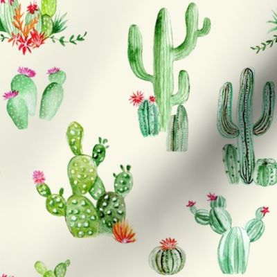 Cactus and Succulents // Spanish Cream