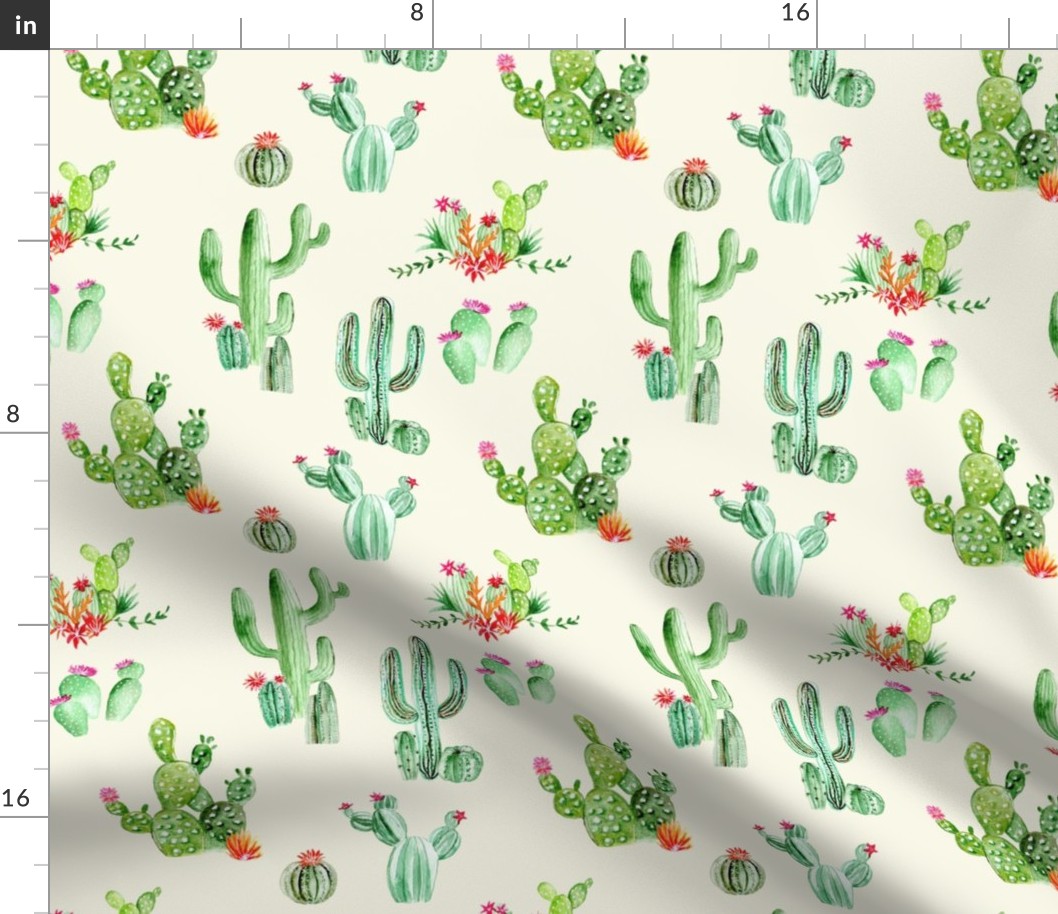 Cactus and Succulents // Spanish Cream