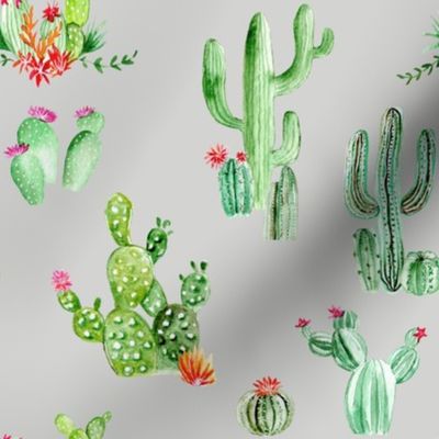 Cactus and Succulents // Quill Gray