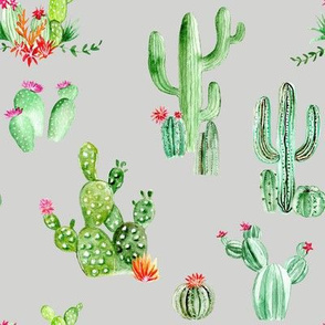 Cactus and Succulents // Quill Gray