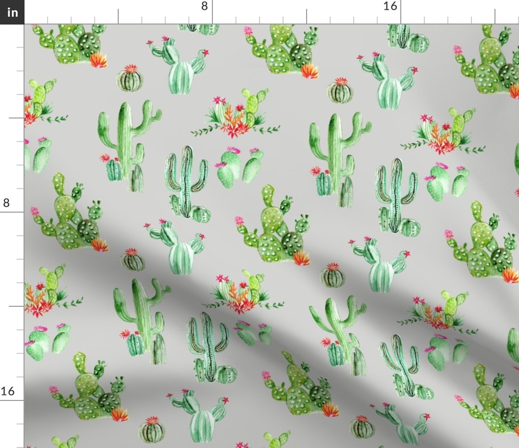 Cactus and Succulents // Quill Gray