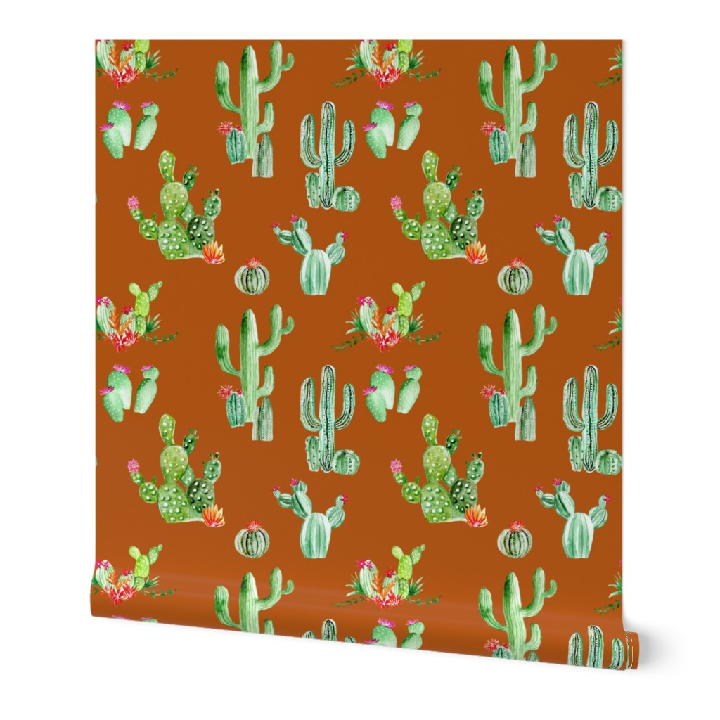 Cactus and Succulents // Burnt Orange