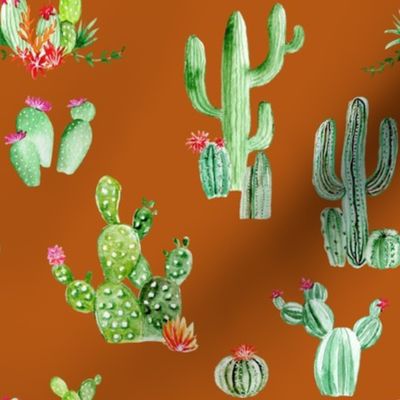 Cactus and Succulents // Burnt Orange