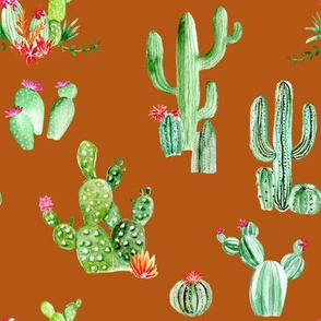 Cactus and Succulents // Burnt Orange