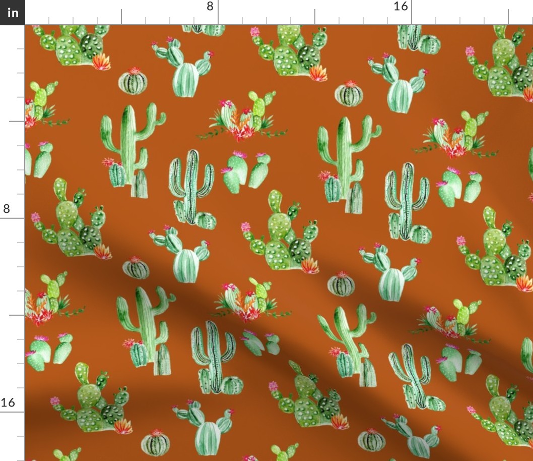 Cactus and Succulents // Burnt Orange