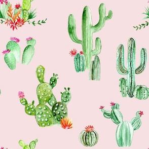 Cactus and Succulents // Blush