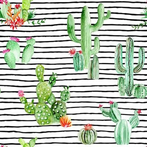 Cactus and Succulents // Black and White Stripes