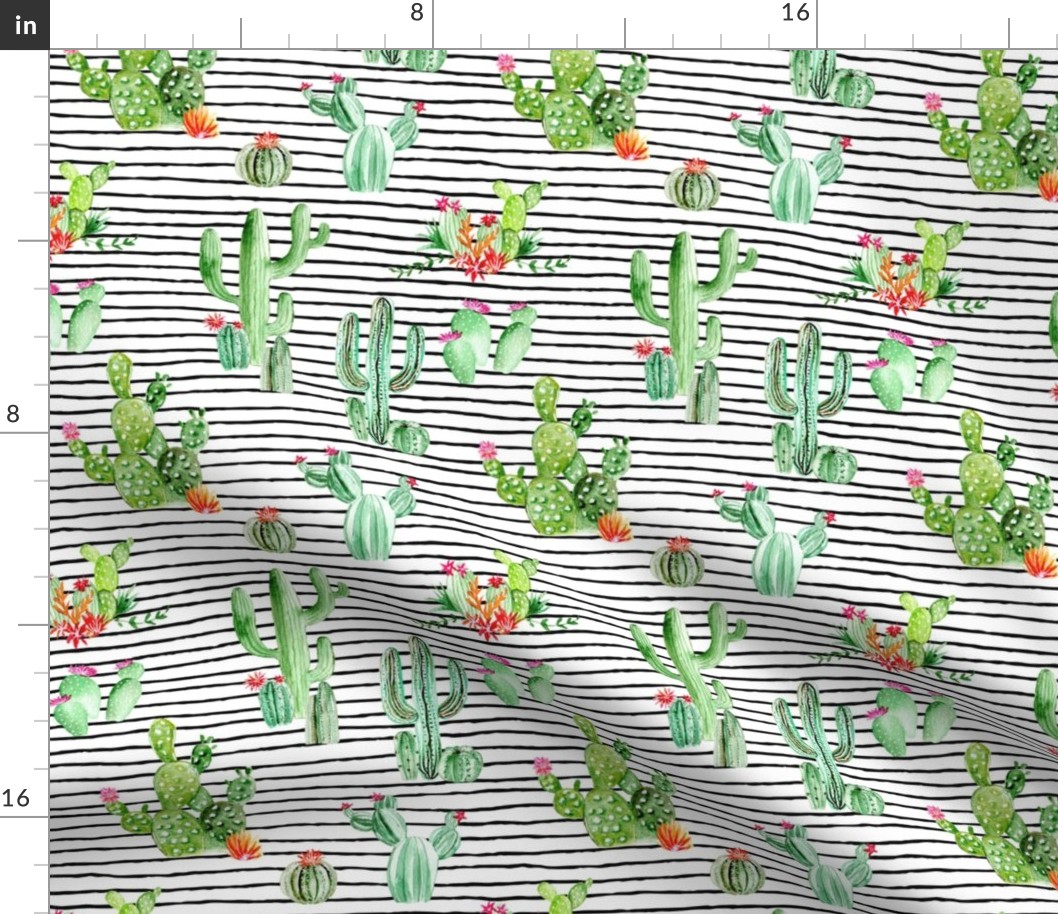 Cactus and Succulents // Black and White Stripes