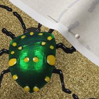 Scarab Green Beetle on Glitter Sand