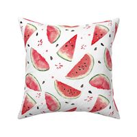 10"  Watermelon fabric, melon fabric, summer fabric 