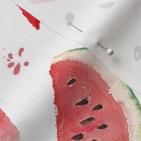 10"  Watermelon fabric, melon fabric, summer fabric 