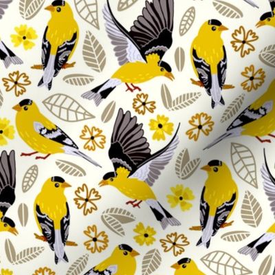 Goldfinches  (Medium size) 