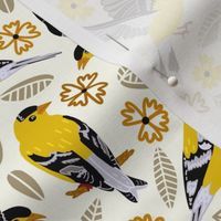 Goldfinches  (Medium size) 