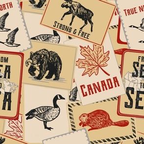 Canadian Wildlife Vintage Postcards