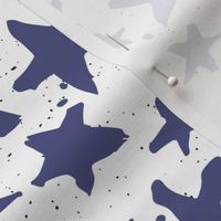 Blue Stars on Spotted Dots