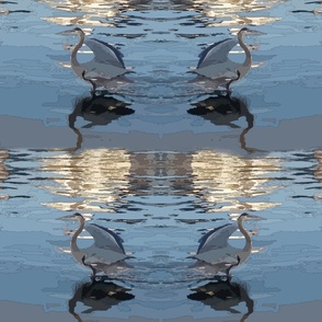 Aquatic Birds - Mirror
