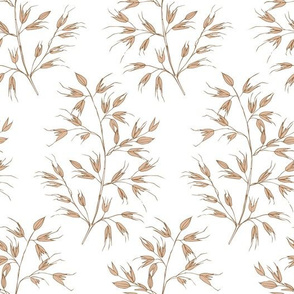 Spikelets of oats on a white, sketch