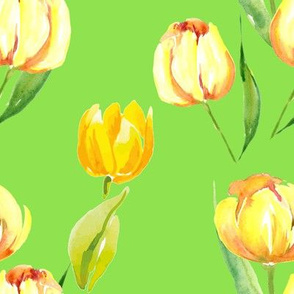 Yellow Watercolor Tulips on Green