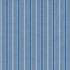 Chambray Blue Stripes