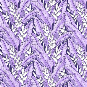 Hawaiian Heliconia-violet-reduced