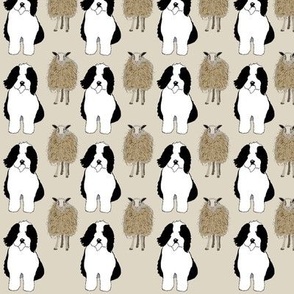 Sheep dog with Sheep on tan background