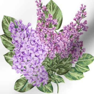 Red and Purple Lilacs