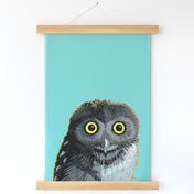 Little Owl Tea Towel 