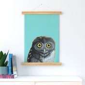 Little Owl Tea Towel 