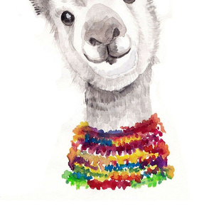 Curious Llama